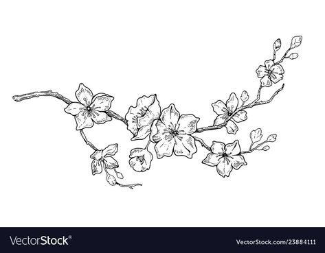 Tree Branch With Flowers Drawing, Peach Blossom Tattoo Black And White, Japanese Cherry Blossom Tattoo Black And White, Black And White Cherry Blossom Tattoo, Almond Tree Tattoo, Flower Branch Drawing, Apple Blossom Drawing, Cherry Blossom Branch Tattoo, Cherry Blossom Outline