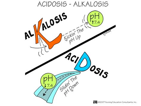 Acidosis  Alkalosis What’s the difference between Acidosis and Alkalosis? In Alkalosis the pH is high, while in Acidosis the pH is low. Alkalosis Vs Acidosis, Acidosis And Alkalosis, Nursing Mnemonics, Pharmacy School, Nursing School Survival, Nurse Rock, Nursing School Studying, Nursing School Tips, Nursing School Notes