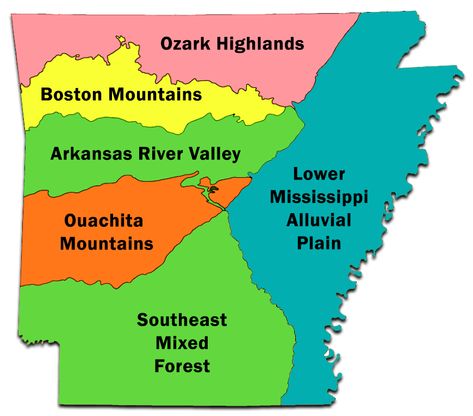 Arkansas Ecoregions Map Technology In Agriculture, Farm Marketing, Honey Production, Native Plant Landscape, Plant Landscape, Pollinator Plants, Crop Production, Garden Calendar, Northwest Arkansas