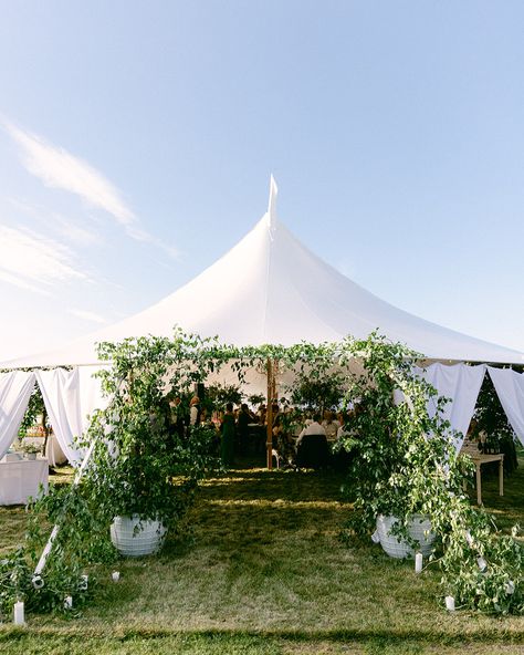 Swipe to see the wedding that made this couple’s jaw drop! ⏩️ The wedding reception was just one event of several held on our private 80-acre estate but it delivered! So many details reflecting the couples story, style and celebration to kick off the night of their life in Upstate New York . . . VENUE @windridgeestate PHOTOGRAPHY @lauraroseweddings CINEMATOGRAPHY @h2hmedia CONTENT CREATOR @followthebride_ PLANNING, DESIGN @shannonwellingtonweddings CATERING @diamondcatering_syracuse BA... Wedding Upstate New York, Upstate Wedding, Upstate New York Wedding, Private Wedding, Pennsylvania Wedding, New York Fall, Upstate New York, New York Wedding, Backyard Wedding