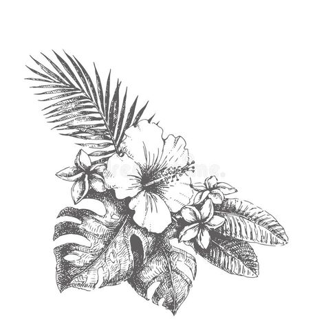 Vector vintage illustration of tropical bouquet isolated on white. Hand drawn botanical sketch with hibiscus, plumeria, monstera vector illustration Vintage Hibiscus Illustration, Hibiscus Flower Bouquet Tattoo, Hibiscus Bouquet Tattoo, Tropical Flowers Drawing, Tropical Sleeve, Tropical Tattoos, Monstera Illustration, Monstera Tattoo, Hibiscus Bouquet