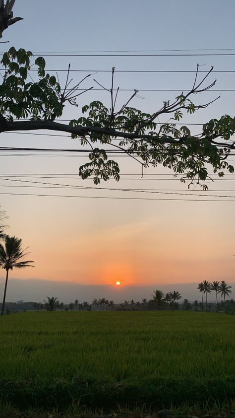 Village Sky View, Indian Village Photography, Iphone Wallpaper Hd Original, Safari Room, Best Instagram Feeds, Sky Gif, Farm Pictures, Instagram Feeds, Flowers Photography Wallpaper