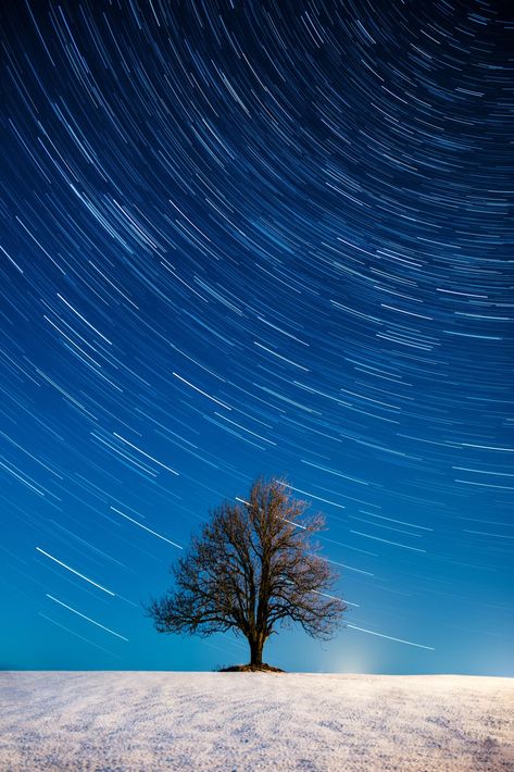 photographer took a long exposure of a lone tree at night Star Long Exposure, Iphone Long Exposure, Long Exposure Light Photography, Long Exposure Photography Night, Long Exposure Landscape, Camera Techniques, Clouds Photography, Sky Landscape, Lone Tree