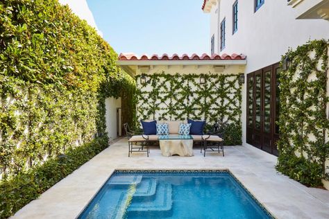 Small Plunge Pools and Cocktail Pools | HGTV Cocktail Pool Ideas, Cocktail Pool, Hidden Pool, Soho Beach House, Types Of Concrete, Pool Picture, Miami Houses, Outdoor Living Rooms, Outdoor Living Design