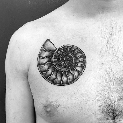 Ammonite Fossil Mens Tattoo Designs On Upper Chest Ammonite Tattoo, Fossil Tattoo, Mens Tattoo Designs, Nautilus Tattoo, Eagle Chest Tattoo, Ocean Sleeve Tattoos, Tattoo Samples, Dinosaur Tattoos, Muster Tattoos