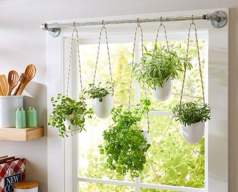 Herb Hanging, Kitchen Window Herb Garden, Kitchen Garden Window, Window Herb Garden, Herb Garden Planter, Growing Herbs Indoors, Hanging Herb Garden, Hanging Herbs, Plant Window