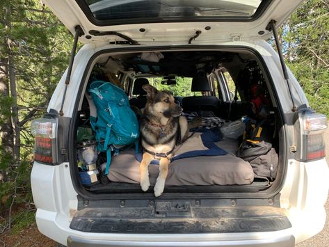 How We Organized Our Toyota 4Runner for Living on the Road – Tails of Wanderlust Camping 4runner, 4runner Camping, Toyota Forerunner, 4runner Build, 4th Gen 4runner, Truck Living, Hitch Cargo Carrier, Suv Camper, Car Tent Camping