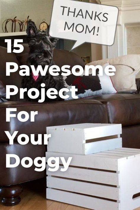 Cheap Diy Headboard, Diy Locker, Decor Makeover, Pet Diy, Diy Wainscoting, Dog Diy, Pet Projects, Bed Dog, Dog Steps