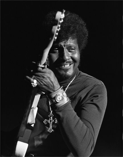 Albert Collins Albert Collins, Blues Musicians, Jazz Artists, Blues Artists, Classic Guitar, Blues Guitar, Music Images, Rhythm And Blues, Jazz Blues