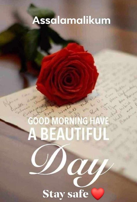 New Good Morning Images, New Good Morning, Love Pic, Good Afternoon Quotes, Lovely Good Morning Images, Good Morning Flowers Rose, Positive Good Morning Quotes, Good Morning Beautiful Gif, Whatsapp Profile