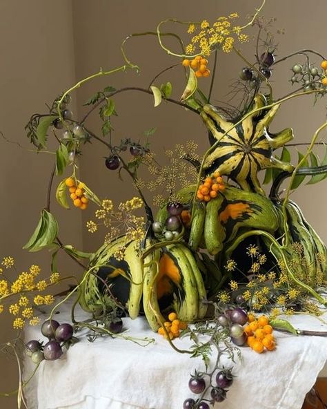 Madison Hartley on Instagram: "Marbled gourds swirling amongst bittersweet vine and black cherry tomatoes. Two days late for the first days of fall but never the less. 🌚" Hart Floral, Bittersweet Vine, Black Cherry Tomato, Flower Installation, Fall Arrangements, Fruit Flowers, Book Candle, Black Cherry, Fall Flowers