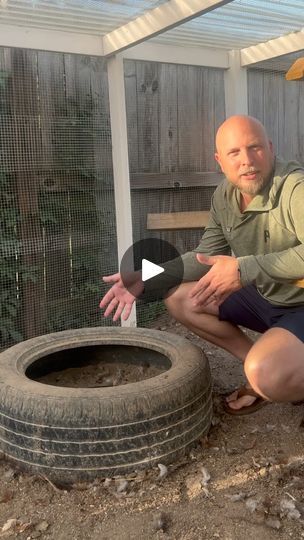 5K views · 1.1K reactions | Using a tire for chickens to take their dust baths in! As always it’s time to get your fruit bearing plants from us! Plant them this fall! 

#chickens #backyardchickens #homestead #chicken #growyourownfood #nc # | Salty Acres Dust Bath, Old Tires, Grow Your Own Food, Chickens Backyard, Chicken Coop, Coop, Chicken, Bath, Fruit