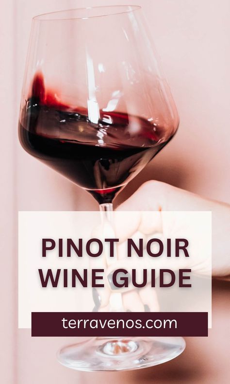 Semi Sweet Red Wine, Wine Facts, Cranberry Cinnamon, Wine Variety, Wine Crafts, Best Red Wine, Pinot Noir Wine, Wine Vineyards, Wine Varietals