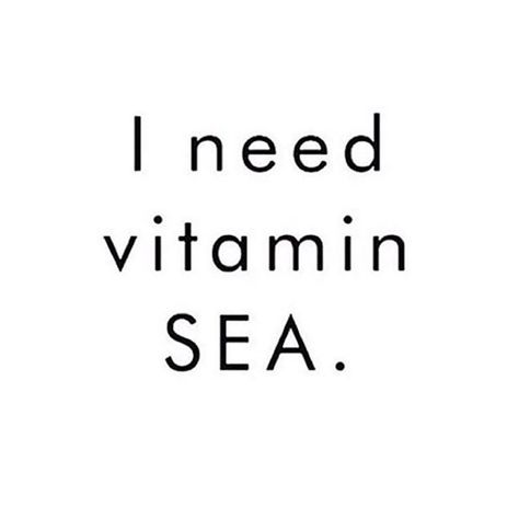 I Need Vitamin SEA #happythursday www.stylekeepershop.com #ShopWithUs #stylekeepershop #endlesssummer #summerinspired #onlinedestination  #quoteoftheday #quote #INeedVitaminSea @stylekeepershop Baecation Quotes, I Need Vitamin Sea, Magic Mountain, Last Day Of Summer, California Surf, Vitamin Sea, Summer Quotes, Yes I Did, Love Others