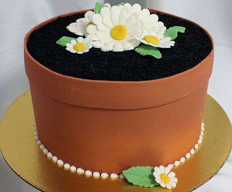 FlowerPot_Cake | Flickr - Photo Sharing! Plant Cakes, Flower Pot Cake, Nice Cakes, Cake Bake Shop, Oreo Dirt, Pot Cake, Pot Cakes, Seedling Pots, Gourmet Cakes