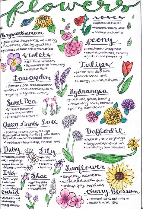 Flower Correspondences Witchcraft, May Witchcraft, Spiritual Notes For Beginners, Book Of Shadows Ideas Inspiration, Witchcraft Journal, Witch Board, Tarot Significado, Witch Spirituality, Magic Spell Book