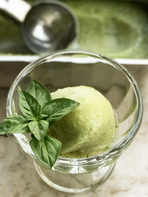 Basil Sorbet, Lemon Sorbet Recipe, Basil Ice Cream, Lime Sorbet, Gelato Recipe, Capri Island, Ice Cream Maker Recipes, Summer Foods, Lemon Sorbet