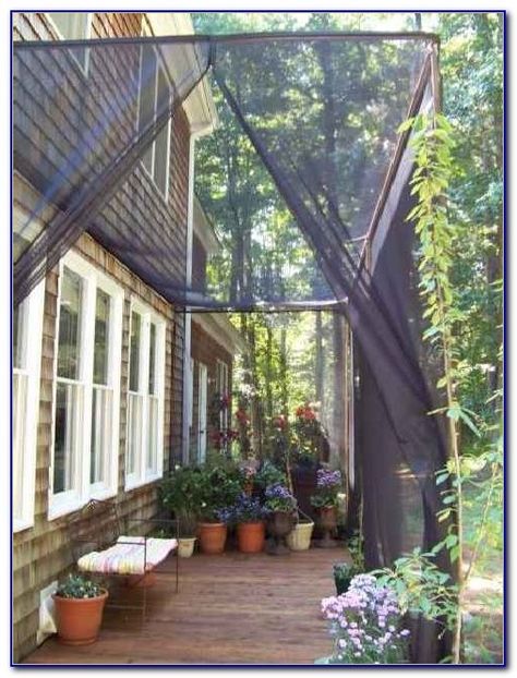 Patio Screen Enclosure, Privacy Screen Ideas, Hammock With Mosquito Net, Mosquito Screen, Porch Flowers, Privacy Screen Outdoor, Screened In Patio, Outdoor Privacy, Apartment Patio