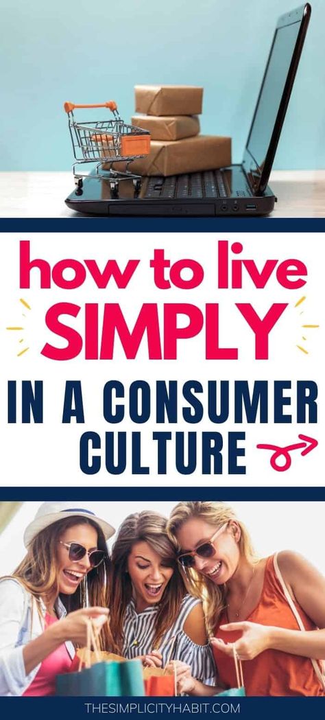 Want to live more simply in a culture focused on consumerism? Check out these helpful tips for simplifying your life even in a consumer culture. #simplify #livesimply #consumerism #minimalism Minimalism Lifestyle Inspiration, Family Mission Statements, Living Simple Life, Minimalist Challenge, Digital Minimalism, Feeling Let Down, Family Mission, Consumer Culture, Minimalism Lifestyle