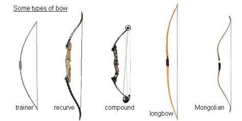 Different Types Of Bows, Archery Aesthetic, Archery Training, Archery Tips, Bows And Arrows, Recurve Bows, Cheap Hobbies, Types Of Bows, Archery Bows