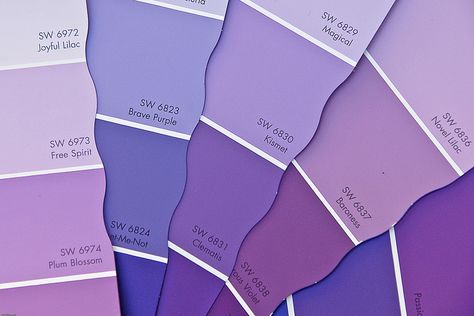 Purple paint samples | by Di's Eyes Light Purple Paint Colors, Paint Colors Purple, Bedroom Purple Walls, Purple Wall Paint, Light Purple Paint, Purple Girls Room, Purple Paint Colors, Bedroom Purple, Purple Girl