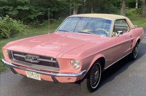 1967 Ford Mustang "Special Paint Pink" Coupe (200ci inline-six, 3-speed auto) 1967 Ford Mustang Coupe, Mustang Cars 1967, Pink Ford Mustang, Old Ford Mustang, 65 Ford Mustang, 1964 Mustang, 65 Mustang Fastback, 1967 Mustang Coupe, Old Mustang