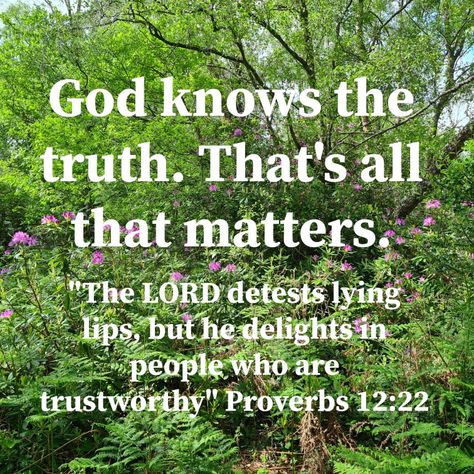 Quotes About Lying Family, You Lied About Me Quotes, Secrets Destroy Quotes, When People Lie About You Quotes, People Lie To Make Themselves Look Good, Lies About Your Character, Truth Over Lies Quotes, When People Tell Lies About You, When Someone Lies And You Know The Truth