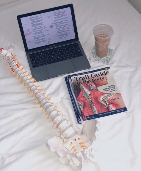 Chiropractic School Student, Chiropractic Student Aesthetic, Chiropractor Aesthetic, Pt Student, Medical Intern, Pt School, Doctor Of Chiropractic, Goal Board, Future Job