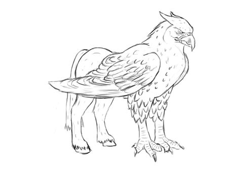 Hypogriff Drawing, Buckbeak Drawing, Hippogriff Drawing, Griffon Drawing, Hippogriff Tattoo, Buckbeak Harry Potter, Griffin Mythical, Harry Potter Coloring Pages, Harry Potter Colors