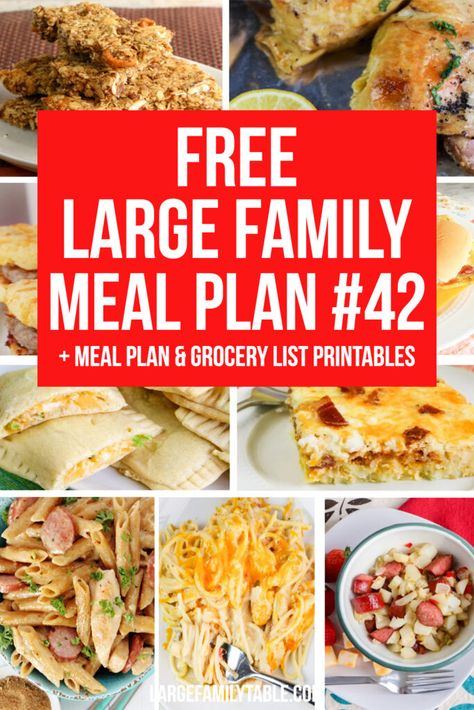 Family Weekly Meal Plan, Large Family Table, Easy Weekly Meals, Family Meal Plan, Free Grocery List, Big Family Meals, Meal Plan Grocery List, Budget Family Meals, Large Family Meals