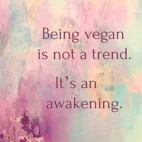 Vegan Facts, Being Vegan, Vegan Vibes, How To Become Vegan, Vegan Memes, Vegan Quotes, Why Vegan, Vegan Inspiration, Life Is Precious