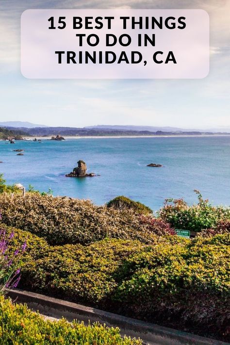 Discover the 15 best things to do in Trinidad, CA. Including Trinidad State Beach, Trinidad Art Nights, Trinidad Harbor, Trinidad Art Gallery and more. Trinidad Colorado Things To Do In, Trinidad Travel, Trinidad State Beach California, Trinidad California, Trinidad And Tobago Travel, Trinidad Beaches, Trinidad And Tobago Culture, Travel California, Vision Quest