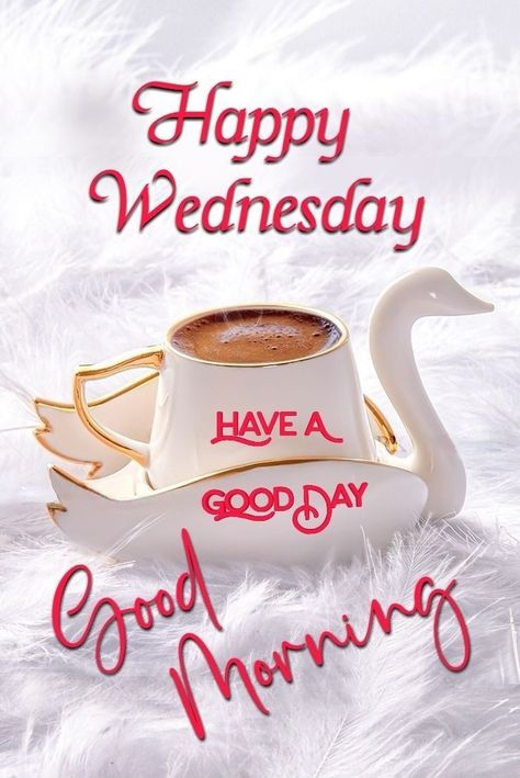 Beautiful Wednesday Morning, Happy Wednesday Morning, Wednesday Morning Greetings, Happy Wednesday Images, Wednesday Morning Quotes, Beautiful Wednesday, Wednesday Greetings, Daily Wishes, Good Morning Happy Thursday