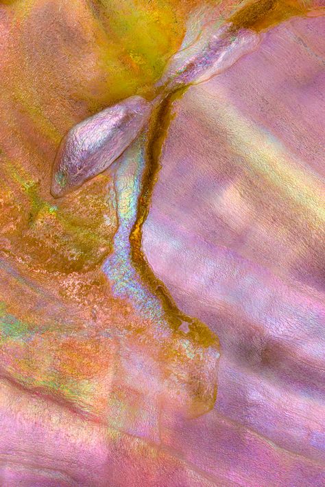 I Combine Thousands Of Photos To Create One Image Of A Mineral | artFido Collecting Rocks, Giant Waves, Macro Photographers, Photo Stitch, Change Image, Foto Art, Crazy Lace Agate, One Image, Large Picture