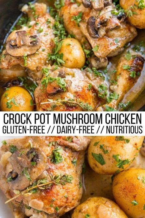 Dairy And Egg Free Crockpot Meals, Gf Df Chicken Crockpot Recipes, Aip Crock Pot Recipes, Crockpot Gluten Free Dairy Free, Crockpot Recipes Gluten Free Dairy Free, Crock Pot Gluten Free Recipes, Dairy Free Dinner Crockpot, Chicken And Mushroom Recipes Crockpot, Mushroom Recipes Crockpot