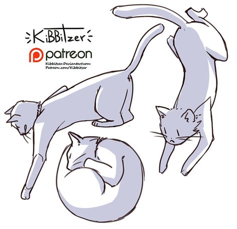 Cats reference sheet - PREVIEW- Cats Reference, Cat Drawing Tutorial, Cat Anatomy, 얼굴 그리기, Cat Reference, Reference Sheet, Cat Pose, Poses References, Figure Drawing Reference