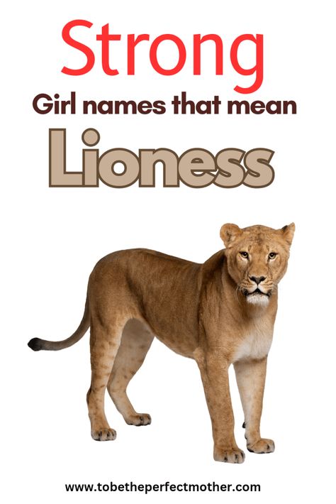 Strong girl names that mean lioness Lion Names Female, Lioness Meaning, S Girl Names, Kingdom Spouse, Strong Girl Names, Hebrew Girl Names, Italian Girl Names, Badass Names, List Of Girls Names