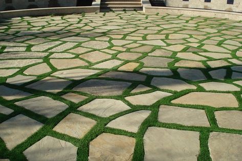 Grass Driveway, Grass Pavers, Hanging Plants Outdoor, Bermuda Grass, Growing Grass, Artificial Plants Indoor, Paver Driveway, Flagstone Patio, Mediterranean Landscaping