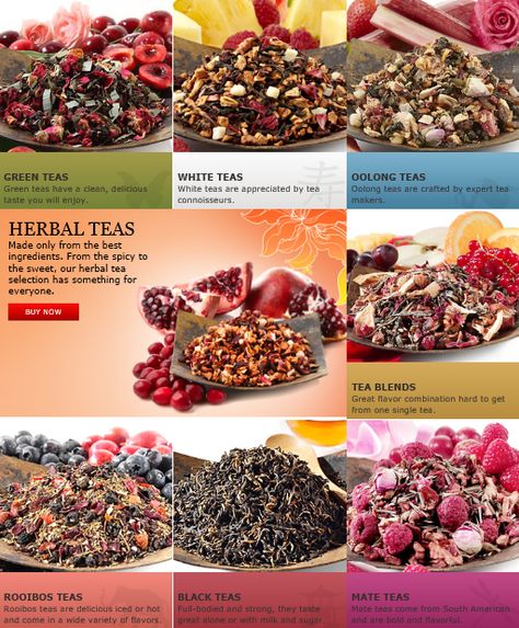 My Newest addiction : Tea  from Teavana  Iced or hot Fruity, spicy, floral, or herbal. But, always first quality and delicious! Not to mention the health benefits. Iced Herbal Tea, Teavana Tea, Healthy Summer Drinks, Tea Infusion, Make Tea, Time For Tea, Tea Kettles, Herb Tea, Tea Maker