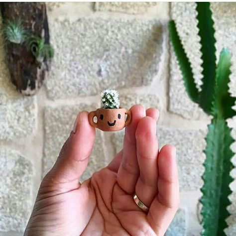 ☽Free Spirited☾ ⊕ ☼ ॐ : Photo Eco Friendly Bedding, Tiny Cactus, Plant Problems, Tiny Plants, Outdoor Furniture Plans, Clay Art Projects, Plant Mom, Cactus And Succulents, Mini Garden