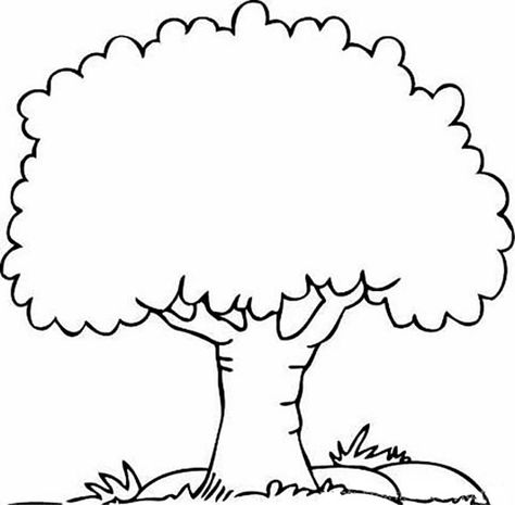 Fall Leaves Coloring Pages, Tree Coloring, Leaf Coloring Page, Tree Outline, Christmas Tree Coloring Page, Cartoon Trees, Book Tree, Simple Tree, Tree Coloring Page