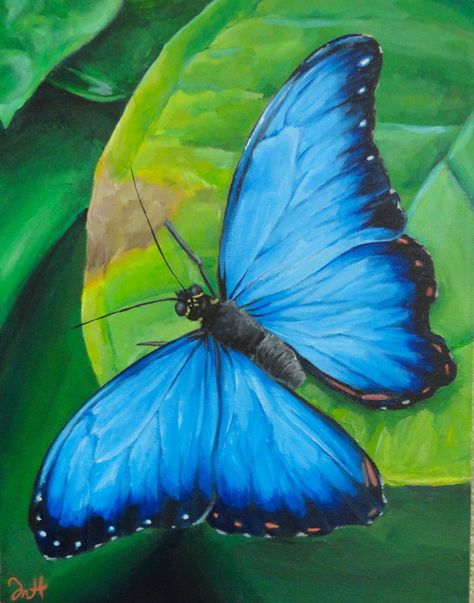 Blue Morpho Butterfly (retouched) by Manukahoney7 on deviantART Half Butterfly Painting, Morpho Butterfly Painting, Blue Butterfly Painting Easy, Blue Butterfly Painting, Blue Morpho Butterfly Drawing, Butterfly On Flower Painting, Blue Morpho Painting, Morpho Azul, Blue Butterfly Acrylic Painting