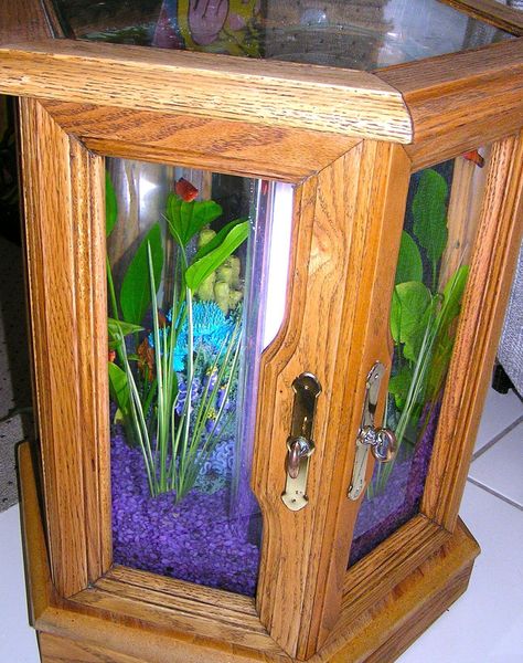 Hexagon Fish Tank Ideas, Hexagon Fish Tank, Corner Aquarium, Diy Aquarium Stand, Fish Tank Ideas, Aquarium Lamp, Acrylic Aquarium, Fish Tank Stand, Amazing Aquariums