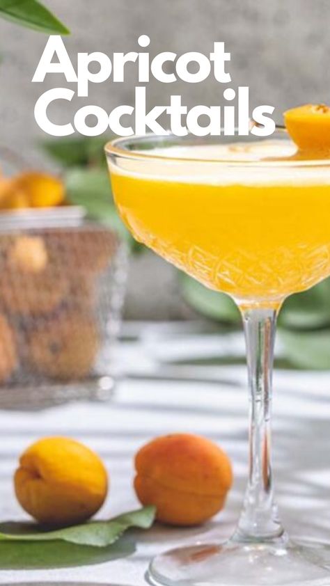 When the snow starts to melt and Spring rolls around again, what better way to welcome the warmer weather than with a refreshing apricot cocktail? With their juicy, sweet flavor and delicate aroma, apricots are the perfect fruit to incorporate into your springtime libations. From classic favorites to creative concoctions, there are countless ways to enjoy apricot cocktails. We will explore some of the best apricot cocktails that are sure to elevate your springtime sippi via @mybartender Apricot Cocktail, Apricot Liquor Cocktail Recipes, Peach Nectar Cocktail, Peach Liqueur Cocktails, Apricot Liqueur, Prosecco Punch, Orange Spice Tea, Apricot Nectar, Bourbon Sour