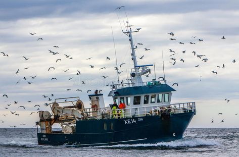 Icelandic Fishing Trawler. Image of a offshore Icelandic commercial fishing traw , #Affiliate, #Trawler, #Image, #Icelandic, #Fishing, #fishing #ad Commercial Fishing Boats, Mermaid Environment, Minoru Nomata, Fishing Trawler, Sea Wolf, Commercial Fishing, Bug Car, Fishing Vessel, Bay Of Bengal