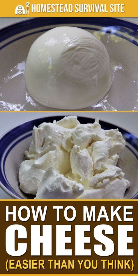 Make Mozzarella Cheese, Cheese Sauces, Cheese Recipes Homemade, Cheese Making Recipes, Diy Cheese, Homemade Cheese, Homestead Survival, Made From Scratch, Milk Recipes