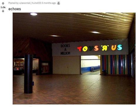 Toys 'R' Us Abandoned Malls, Dead Malls, Weirdcore Aesthetic, Books A Million, Nostalgic Pictures, Nostalgia Aesthetic, Nostalgia Core, Liminal Space, Dreamcore Weirdcore