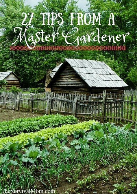 27 Tips from a Master Gardener: Plantarea Legumelor, Kebun Herbal, Taman Diy, Tanaman Pot, Garden Veggies, Veg Garden, Master Gardener, Have Inspiration, Organic Gardening Tips