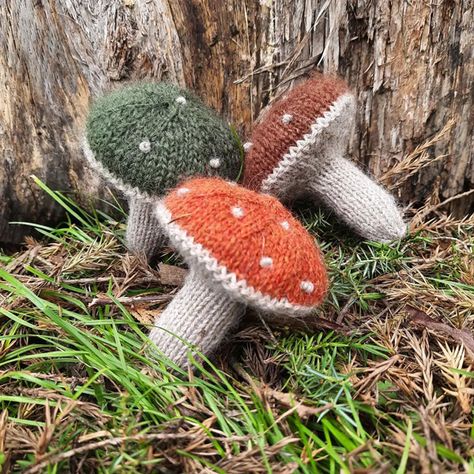 Free Mushroom Knitting Pattern, Knitted Mushrooms Free Pattern, Mushroom Knitting Pattern, Knit Vegetables, Woodland Accessories, Knitted Mushroom, Knit Mushroom, Christmas Knitting Projects, Fall Knitting Patterns