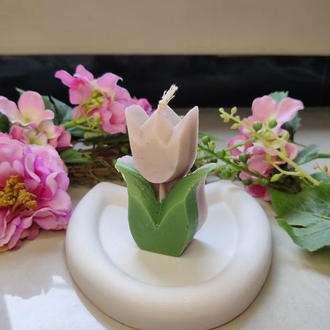 🌷 Tulip trinket dish & Tulip Flower Candle 🌷 Dm to order COLOR WILL BE CUSTOMIZED. #tulip #gypsumdecor #Candle #trinketdishesofinstagram #artisanalhomedecor #homeowner #smallbussinessowner #tulipcandle Clay Tulip, Tulip Ornament, Tulip Ceramic Cup, Tulip Mug, Tulip Candle, Tulip Flower, Flower Candle, Tulips Flowers, Trinket Dish